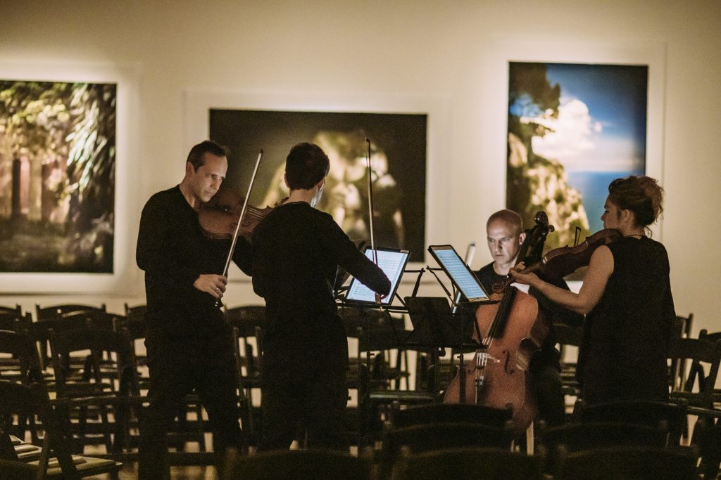 Sydney Art Quartet Cadence & Co